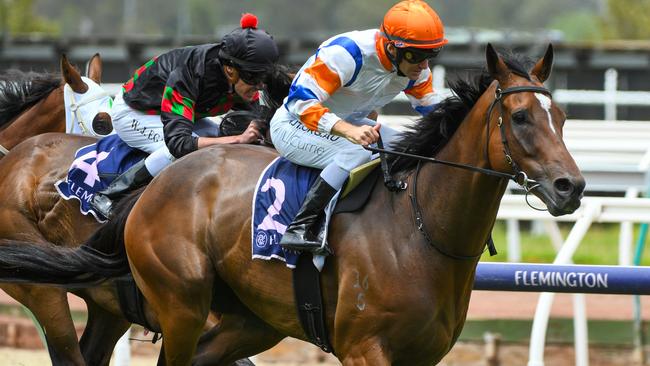 Jockey Luke Currie rides Secret Blaze to victory in the Christmas Carols Handicap at Flemington on December 21.