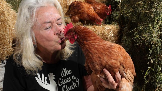 Julie’s passionate about her chickens. Picture Glenn Hampson