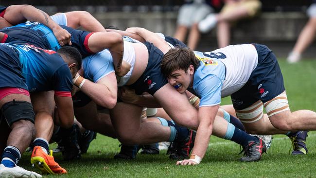 Young Waratahs players competing last year. Pics: Julian Andrews