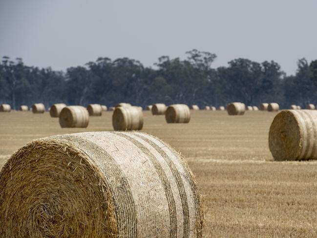 generic hay bale photos. hay bales in a paddock. harvest. farming. farm life. regional victoria. Picture: ZOE PHILLIPS