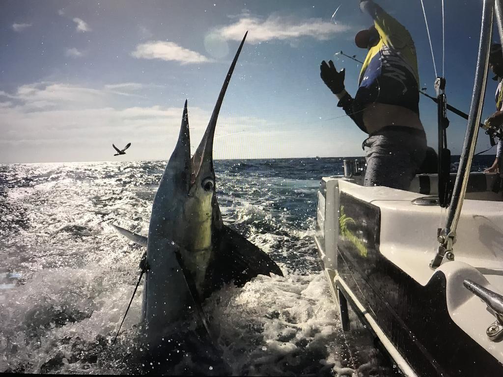 Gone Fishing -  Australia