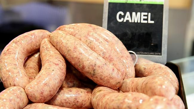 Camel Meat Hornsby Butcher Tender Gourmet Meats Hornsby Mall | Daily ...