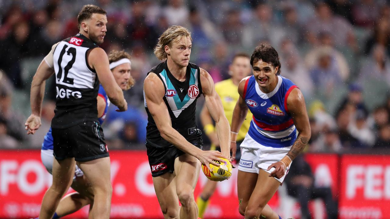 Miles Bergman has started the season well. Picture: Sarah Reed/AFL Photos via Getty Images