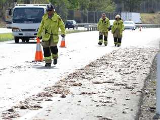 Offal littered the Warrego Highway near Kholo on Monday afternoon. . Picture: Rob Williams