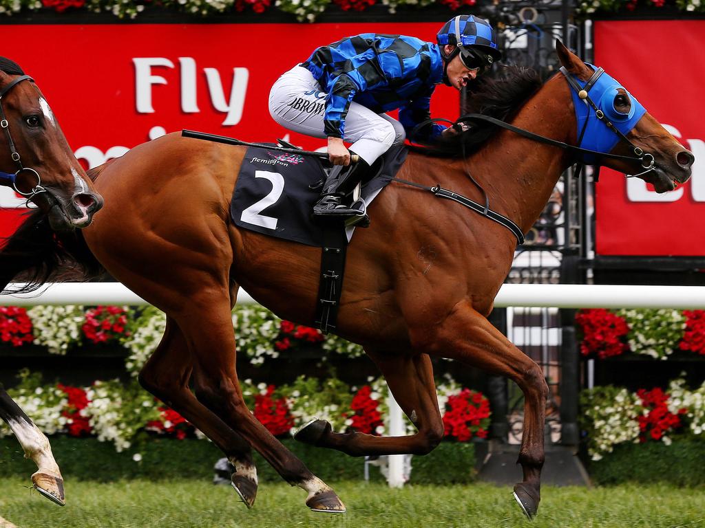 Queenslander Buffering took forever to break his Group 1 duck but when he did it was like a dam bursting with Group 1 success coming at regular intervals thereafter.