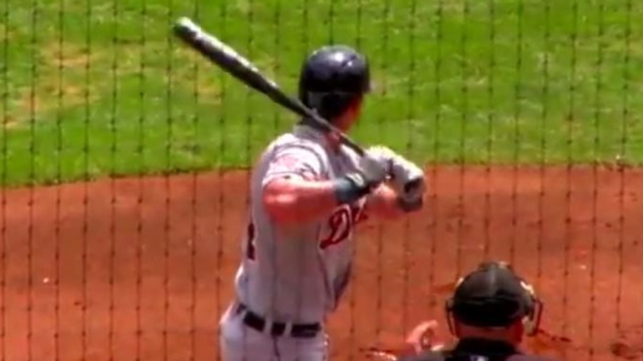 Foul ball ‘fowl ball’ as baseball hits bird in freak accident