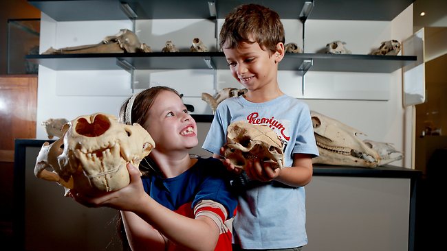 Lots to see and do during South Australian school holidays | The Advertiser