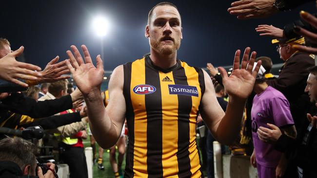 Jarryd Roughead celebrates with Hawks fans after the win over Sydney.