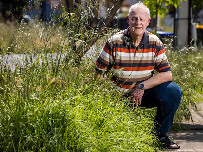 Howard Holman says the verge grass in his street hasn't been mowed for months and is waist high in places, pictured on October 21st 2022, in Athol Park,Picture: Tom Huntley