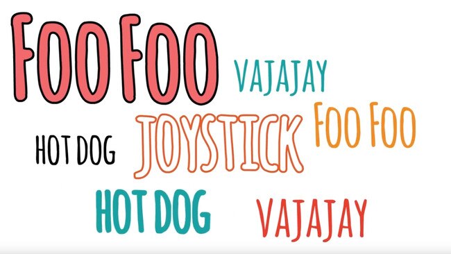 … like ‘foo foo’, ‘vajayjay’, ‘hot dog’ and ‘joystick’.