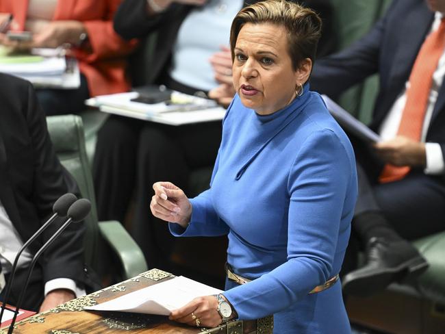 CANBERRA, AUSTRALIA  - NewsWire Photos - November 20, 2024: Australia's Communications Minister, Michelle Rowland during Question Time at Parliament House in Canberra. Picture: NewsWire / Martin Ollman