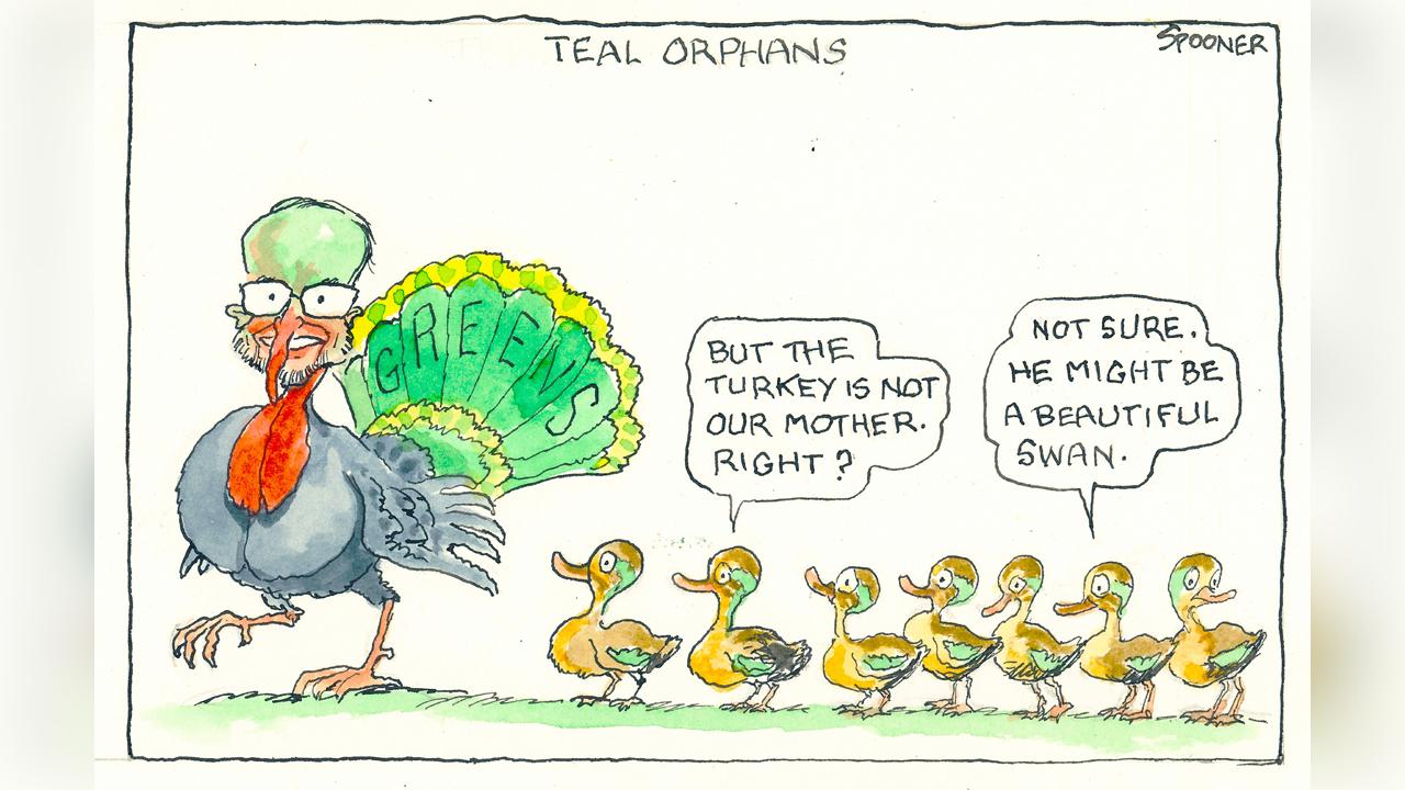 Cartoon: John Spooner