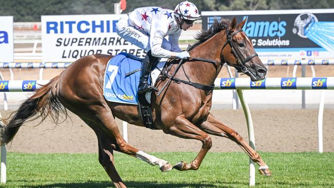 Miss Sunshine hardest to beat at Ballarat on Friday. Picture: Reg Ryan/Racing Photos via Getty Images