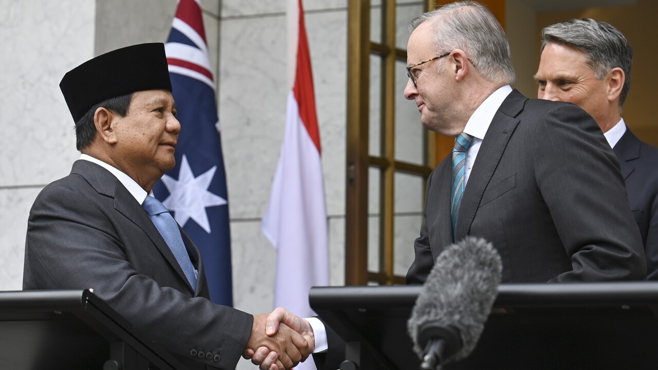 Albanese lobbied Indonesia’s President ‘for months’ for return of Bali Nine