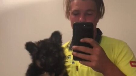 Gympie roofer Lochey Brown and his adorable dog Alf have gone viral on TikTok, with more than 300k views and counting.