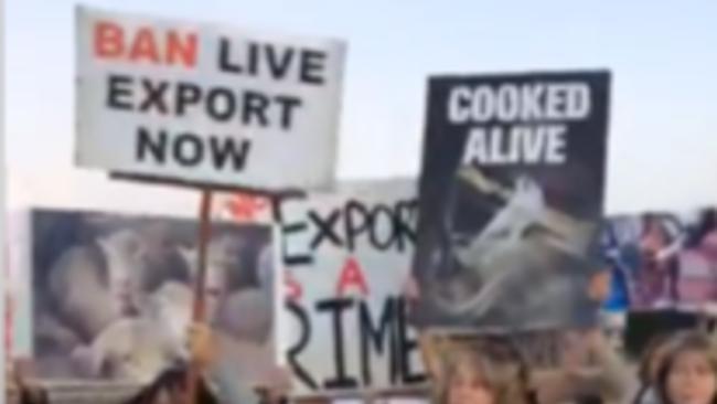 Protesters Demand End to Live Exports at Adelaide Port