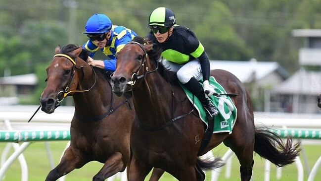 Matt Hoysted and Steve O'Dea trained runner Fortuneer. Picture: Facebook.