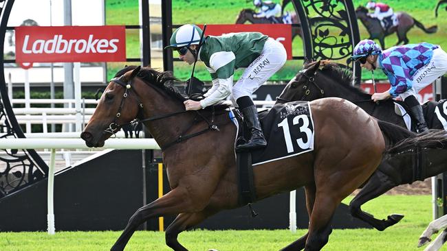 Sunrays will be sent for a spell after winning the Show A Heart. Picture: Trackside Photography