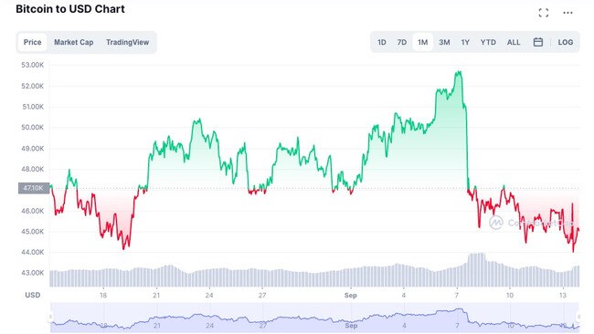 Bitcoin in the past month. Picture: CoinDesk