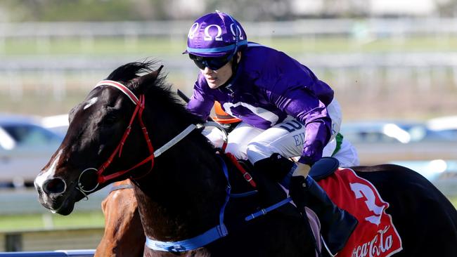 Sarah Eilbeck steers Rough Eddie to victory at Doomben last Saturday. Picture: Darren England