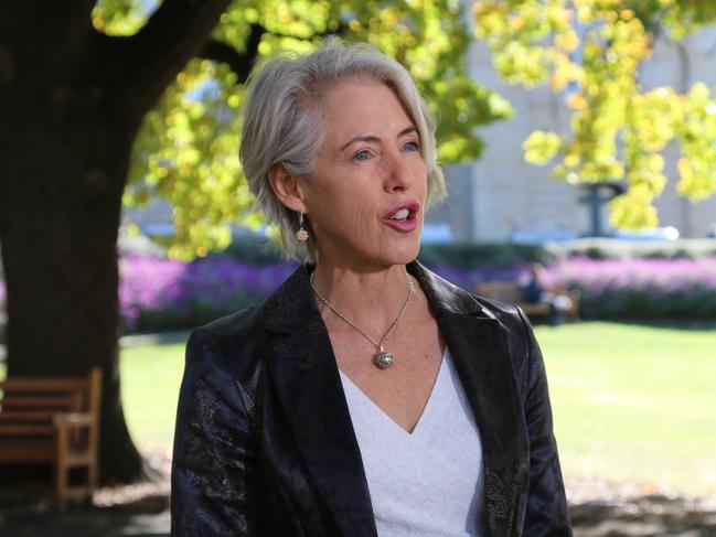 Greens MP Rosalie Woodruff speaks to the media on parliament Lawns in Hobart.