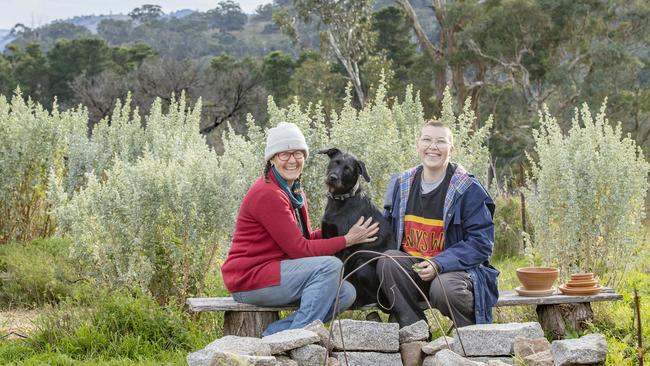 The co-op is a diverse way of engaging and accessing agricultural land, providing the opportunity to connect their culture with the classroom. Picture: Zoe Phillips