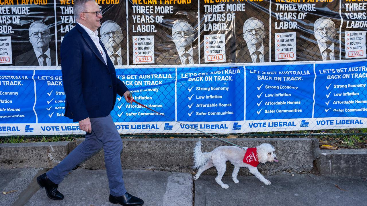 Albo with his beloved Toto. Picture: Jason Edwards / NewsWire