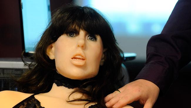 De Montford University Of Leicester Academic Wants Sex Robot Ban The