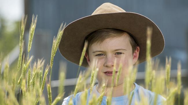 FARM magazine: Betsy Evans and her husband Greg run Oak and Swan Sourdough bakery on their 40ha farm, just this year growing a trial crop of 50 heritage breed grain varieties which they will eventually mill for flour in the bakery.Pics can also include Liam, 11, Lucas, 9 and Stella 7Grain crops, wheat head, bread loaves, farm scenery, bakery and oven. Picture: ZOE PHILLIPS