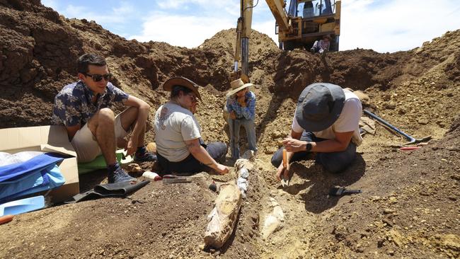 The Queensland Museum dig for the plesiosaur. Picture: Peter Wallis