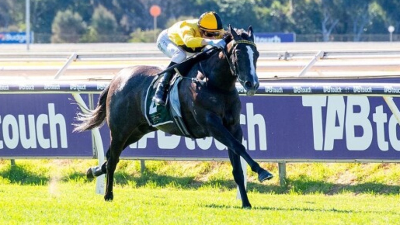 Bustling has been sold to east coast connections. Picture: Western Racepix
