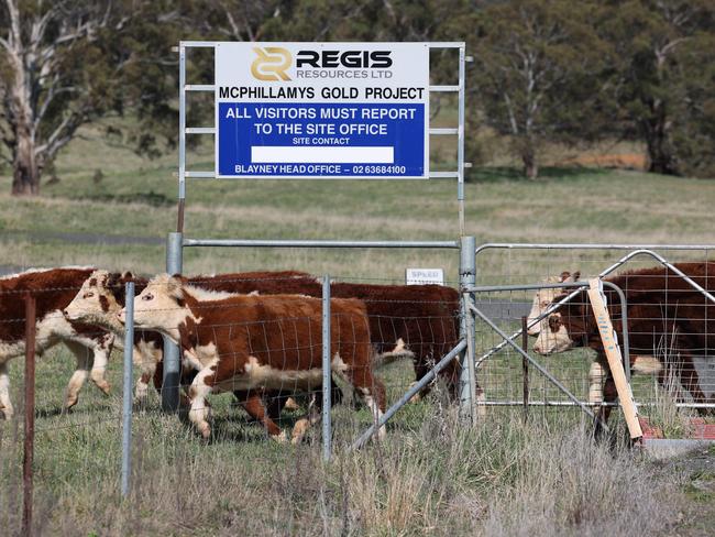 The entrance to the Regis Resources gold project, which has caused a huge rift between Premier Chris Minns and the Federal Environment Minister Tanya Plibersek. Picture: Rohan Kelly