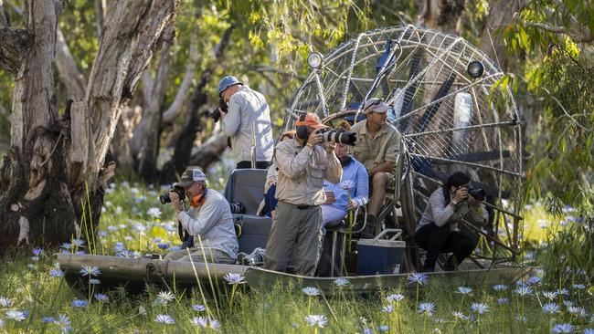 An airboat adventure in the flooded paperbark forest at Bamurru Plains Northern Territory.