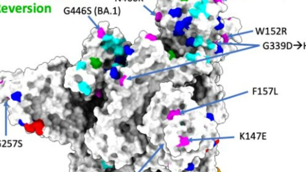 Covid 19 Mutations In New Omicron Variant BA275 From India Reveals Big   5b717438dd6d2e114b62864ed64eca31