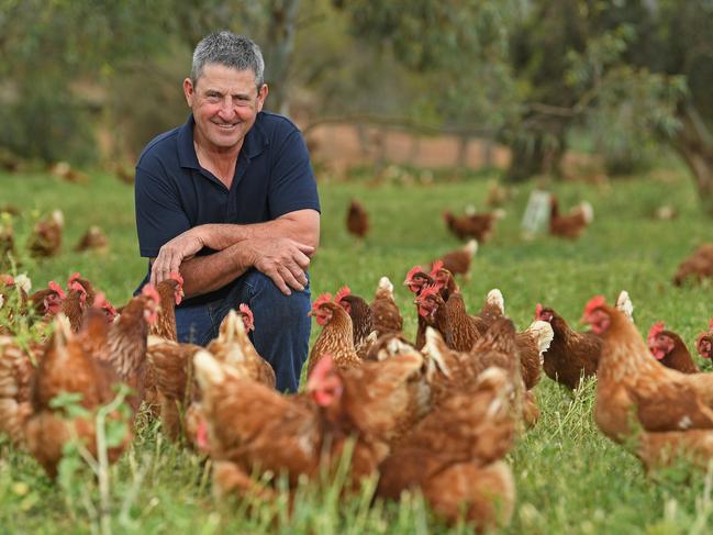 15/10/20 - John Rohde on his Tarlee free range egg farm.Picture: Tom Huntley