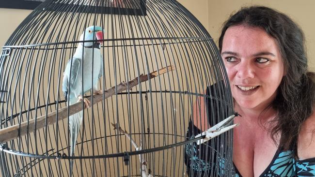 Cassie Carver, of Geeveston, with her bird Buddy the Indian ringneck which went missing in Kingston about 10 years ago.