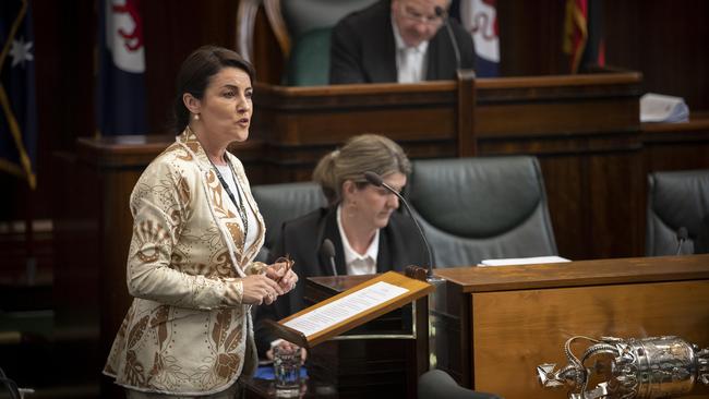 Tasmanian parliament question time, Jo Palmer MLC. Picture: Chris Kidd