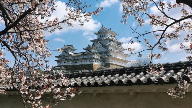 12/28Himeji Castle - Himeji, Japan
One of Japan's most striking castles, Himeji is one of the few remaining in Japan today. It is particularly popular to visit in cherry blossom season. Picture: Dino Johannes / Unsplash