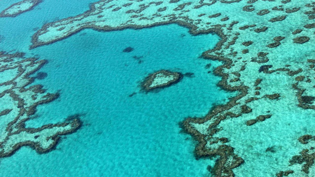(FILES) This file photo taken on November 20, 2014 shows an aerial view of the Great Barrier Reef off the coast of the Whitsunday Islands, along the central coast of Queensland. All references to Australia were removed from a UN report on climate change and World Heritage sites after objections from Canberra, in a move scientists and activists on May 27, 2016 called "extremely disturbing". The study, World Heritage and Tourism in a Changing Climate, was jointly published on May 26 by UNESCO, the Union of Concerned Scientists and the United Nations Environmental Programme. / AFP PHOTO / SARAH LAI / RESTRICTED TO EDITORIAL USE