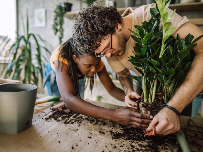 Protect the plants you want to keep.