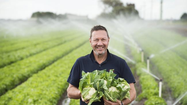 Fresh Produce Alliance Chairman John Said on farm at Werribee. Picture: Zoe Phillips