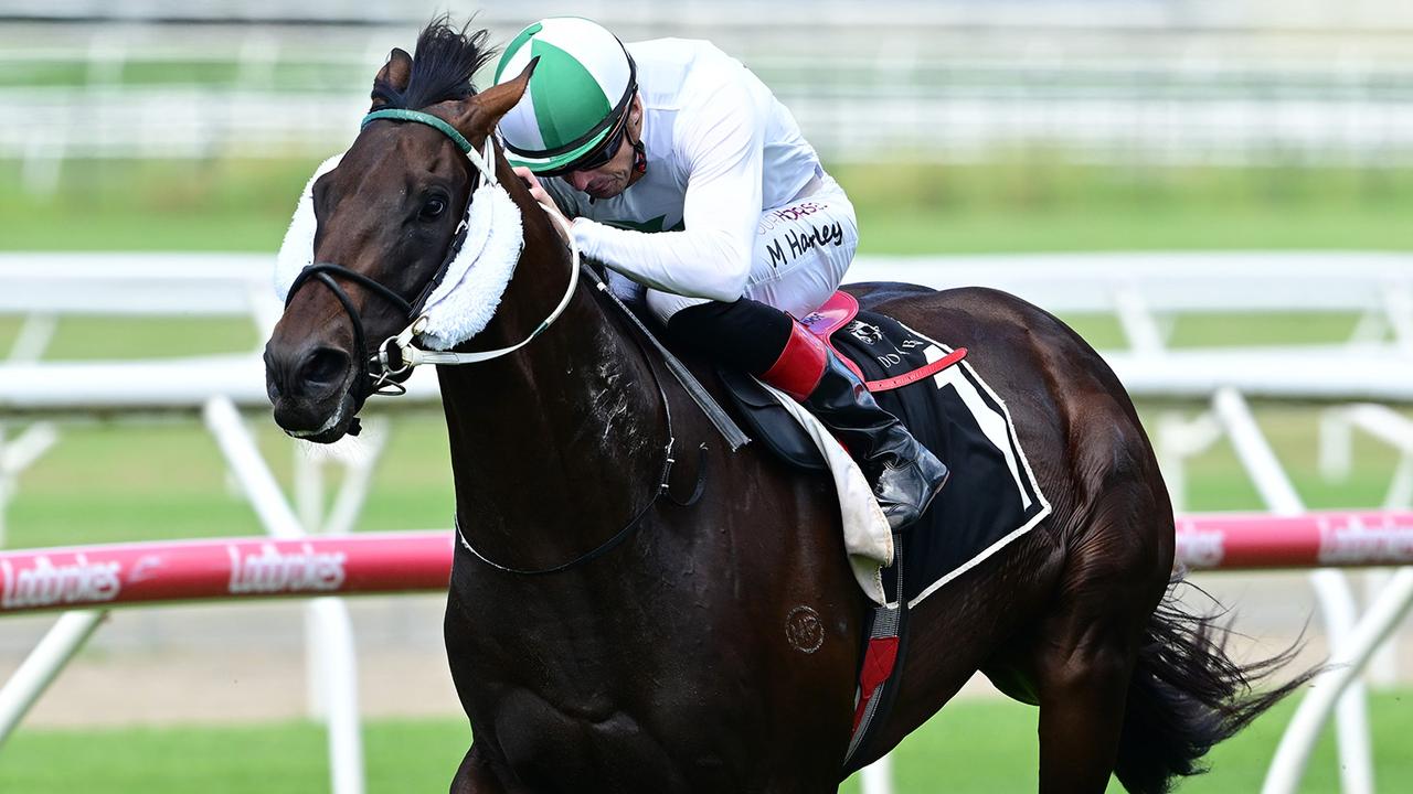 The Bevan Laming-trained Super Seth colt Savour The Dream has won three of his seven career starts. Picture: Grant Peters / Trackside Photography