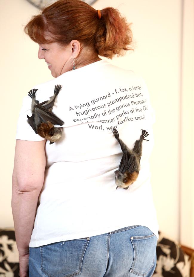 Caroline Clarence with two baby grey headed flying foxes. Picture: Justin Sanson