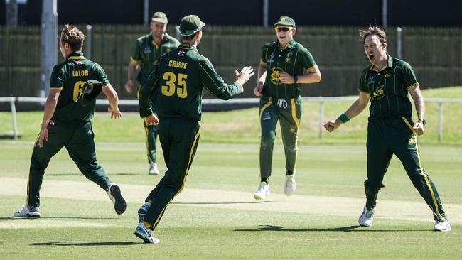 Premier: Northcote players celebrate a wicket. Picture: Valeriu Campan