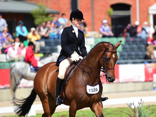 Stephanie Barrington riding SLM Orlando. Picture: Zoe Phillips