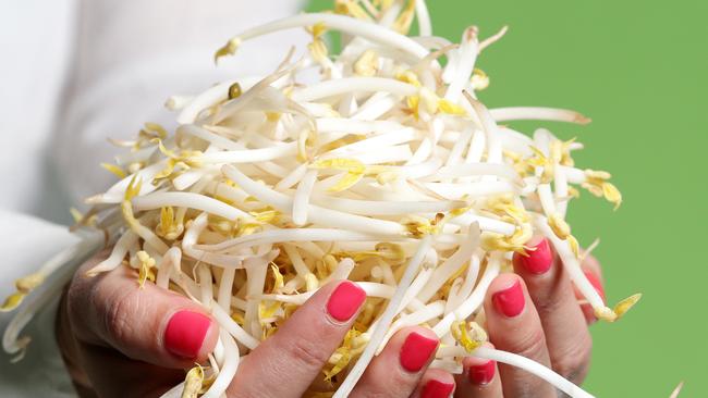 Mung Bean Sprouts. Picture: Dylan Coker