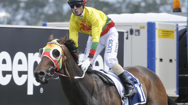Lucky Hussler is favourite for Saturday’s CF Orr Stakes. Picture: Grant Peters