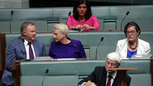 Anthony Albanese with Kerryn Phelps on the crossbench during Question Time. Picture: Gary Ramage