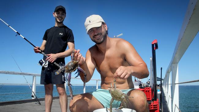 Jordan Maiovis of Hazelwood Park and Christian Bliss of Highbury catching crabs off Grange Jetty. Picture: Dean Martin