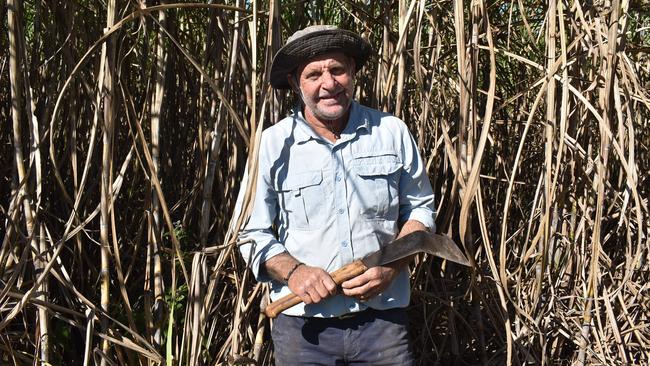 Cane cutter Wayne Borrellini.